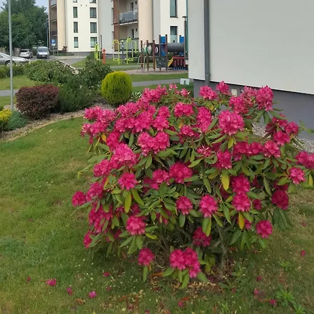 Nawigator Rybacka 12 B *