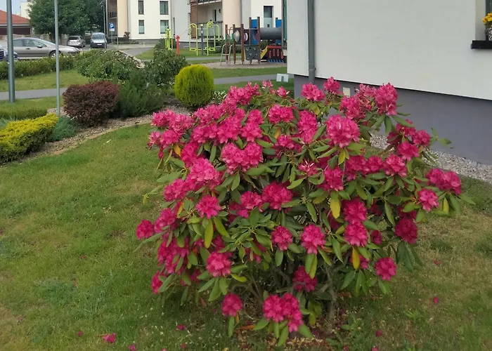 Nawigator Rybacka 12 B *